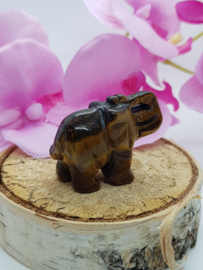 Olifant Tijgeroog