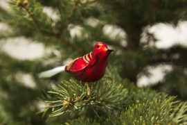 Thüringer kerstvogel 13cm rood/mat met glitter (set 4)