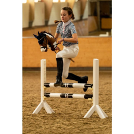 HOBBY HORSE  SAAR