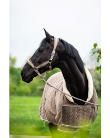 showtime halster velvet 2025/26