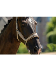 showtime halster velvet 2025/26