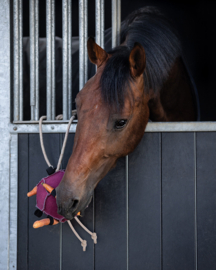 paardenspeelgoed Bal roze