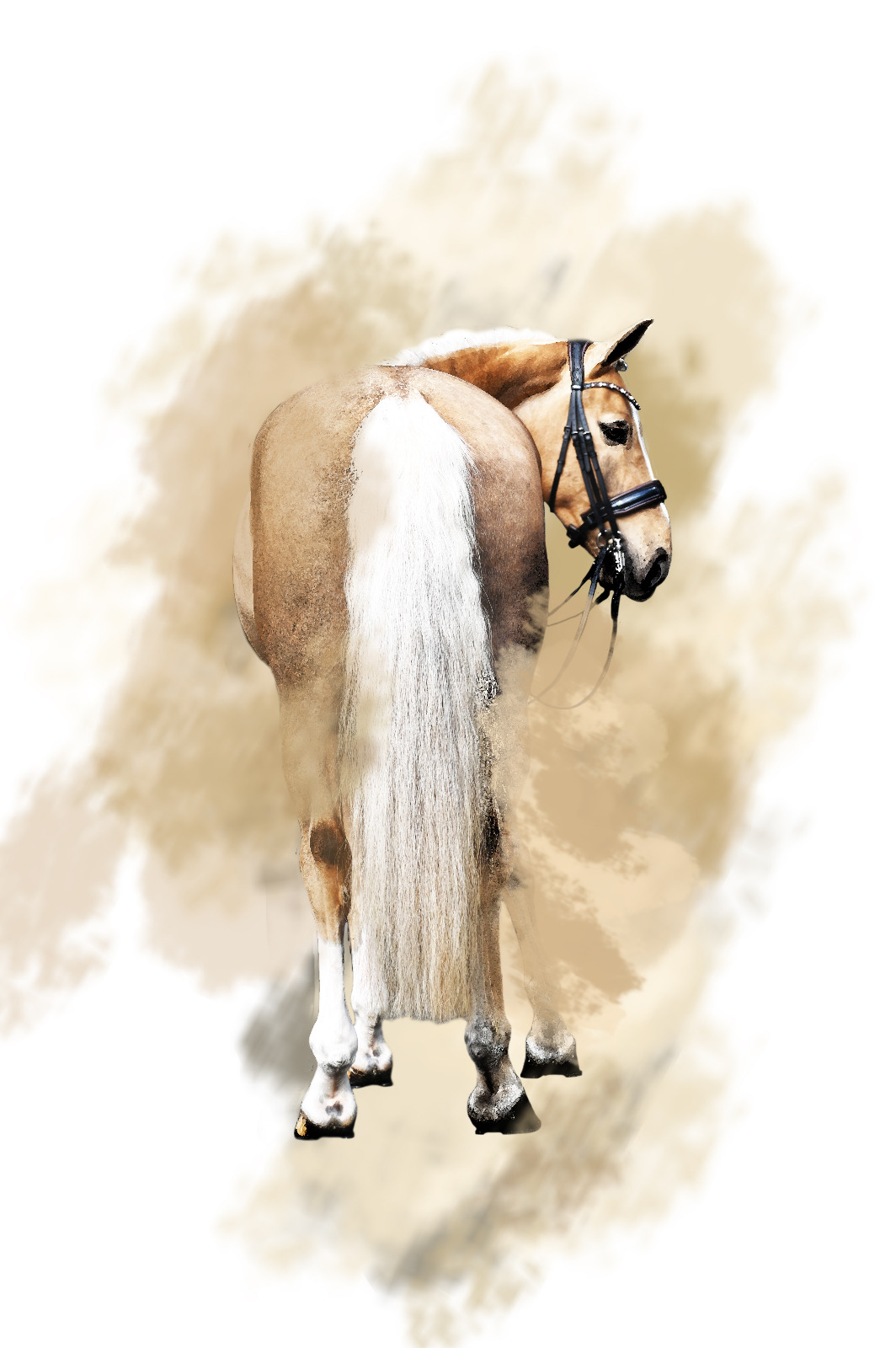Silky Mane & Tale MHT
