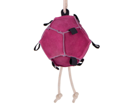 paardenspeelgoed Bal roze