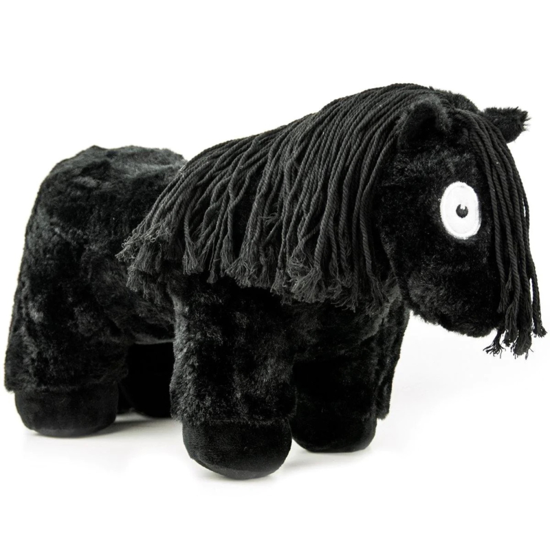 Pony zwart zwarte manen