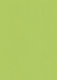 Colortime gekleurd karton lichtgroen 2 vellen A4 (21 x 29,7 cm) 180 grams