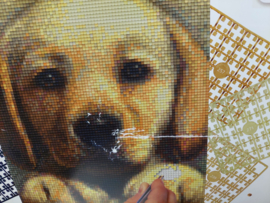 Pixelhobby Pixel kit 4 basisplaten Golden Retriever puppy doos licht beschadigd