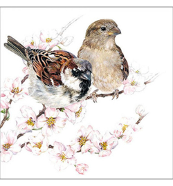 Ambiente servet sparrows blossom 33 x 33 cm 1 stuk 13313895