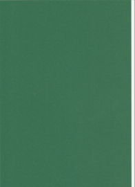 Colortime gekleurd karton donkergroen 2 vellen A4 (21 x 29,7 cm) 180 grams