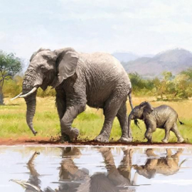 Ambiente servet olifant 33 x 33 cm 1 stuk 13311575