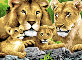 Royal & Langnickel painting by numbers pride of lions PJL4-3T