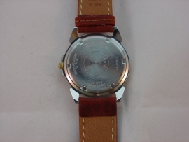 Sector bi-color herenhorloge