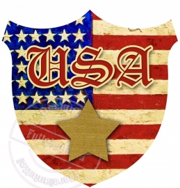 Strijkapplicatie USA embleem