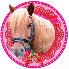 Strijkapplicatie Cute Horse