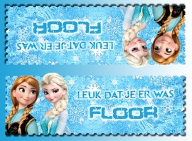 Kinderfeest traktatiezakjes Frozen, setje van 6 stuks