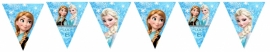 Kinderfeest vlaggenslinger Frozen