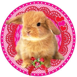 Strijkapplicatie Cute Bunny