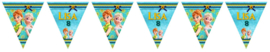 Kinderfeest vlaggenslinger Frozen Fever