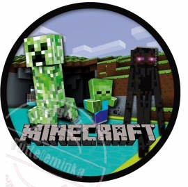 Strijkapplicatie Minecraft 1