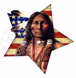 Strijkapplicatie USA Indian
