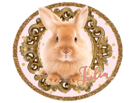 Strijkapplicatie Bunny gold met naam