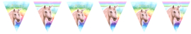 Kinderfeest vlaggenslinger Unicorn Rainbow
