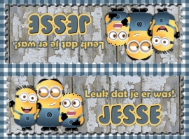 Kinderfeest traktatiezakjes Verschrikkelijke Ikke Minion, setje van 6 stuks