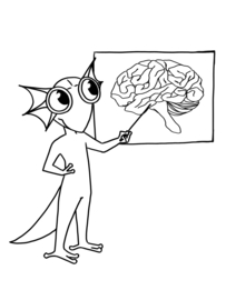 Online Cursus: Het Beelddenkende Brein
