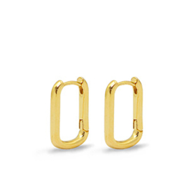 2 x  DQ metaal oorbellen creolen ovaal Goud Maat: ca. 17x12mm (Nikkelvrij)