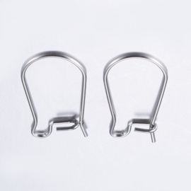 2 x  Tarnish Resistant 304 RVS oorbellen haakjes Afm: c.a. 20 x 9~12 x 2,5mm pin: 0,8 mm