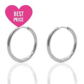 2 x  Roestvrij stalen (RVS) Stainless steel oorbellen creolen 19mm Zilver  (Ø14mm)