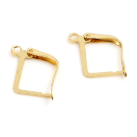 2 x RVS oorbellen haakjes gold plated 20 x 13 x 11mm dik: 2,1mm