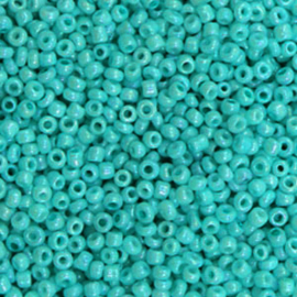 20 gram  Glaskralen Rocailles 12/0 (2mm) Teal green