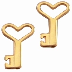 2 x  goudkleurige DQ kwaliteit Dreamz bedel sleutel 14 mm (Nikkelvrij)