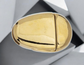 DQ Metaal Magneet Sluiting Ø 5 x 2,2mm Goudkleur (Nikkelvrij)