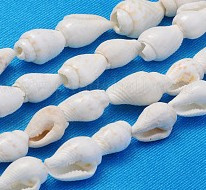20 x Natuurlijke trompet schelpkralen wit 6~13 x 4~8,5 mm – gat 0,5 mm – wit