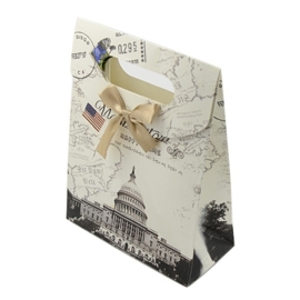 Cadeautasje kraft papier afmeting: 165 x 125 x 56mm met strikje Washington DC (op = op!)