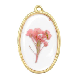 1 x  Bedels met gedroogde bloemetjes ovaal Gold-pink 