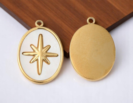 1 x RVS 304 Ion Plating (ip) Bedel met schelp ovaal ster wit, 14K goldplated 20,5 x 14 x 2mm oogje 1,5mm