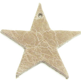 2 x DQ leer hanger ster 4,5 cm x 2 mm Reptiel Natural Brown