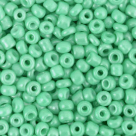 20 gram Glaskralen Rocailles 8/0 (3mm) Arlington green