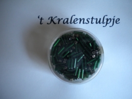 Pracht - glasstiften buisjes met zilverinslag 6mm 17 gram donker groen