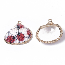 1 x Schelp hanger specials Kokkel Gold Lieveheersbeestjes