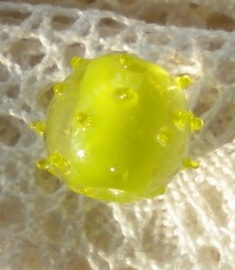 10 x Glaskraal rond 12mm groen-geel met minidots handgemaakt
