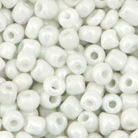 20 gram Glaskralen Rocailles 6/0 (4mm) Bright white pearl