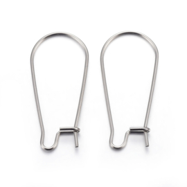 2 x Oorbellen haakjes RVS  25 x 12 x 0.7mm Stainless Steel