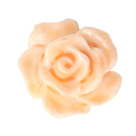 5 x Roosjes kralen 10mm Wit-apricot peach blush orange