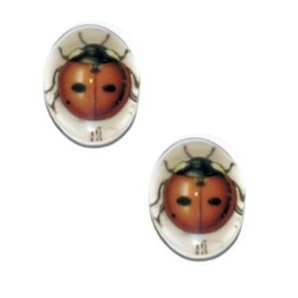 2 x Glas Cabochon 18x13 mm Ladybug