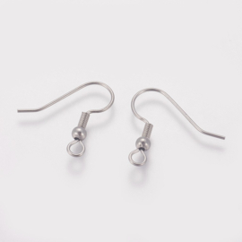 2 x  Tarnish Resistant RVS  316 Chirurgisch staal oorbellen haakjes Afm: c.a. 20 x 21 x 3 mm, Oogje 2mm pin: 0,7 mm