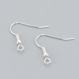 2 x  Tarnish Resistant RVS  316 Chirurgisch staal oorbellen haakjes Afm: c.a. 20 x 20 x 3 mm, Oogje 2mm pin: 0,7 mm Silver plated